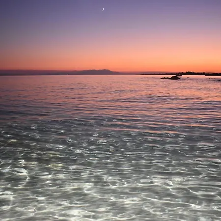 Red Coral Vatopédhion