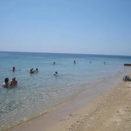 Red Coral * Vatopédhion