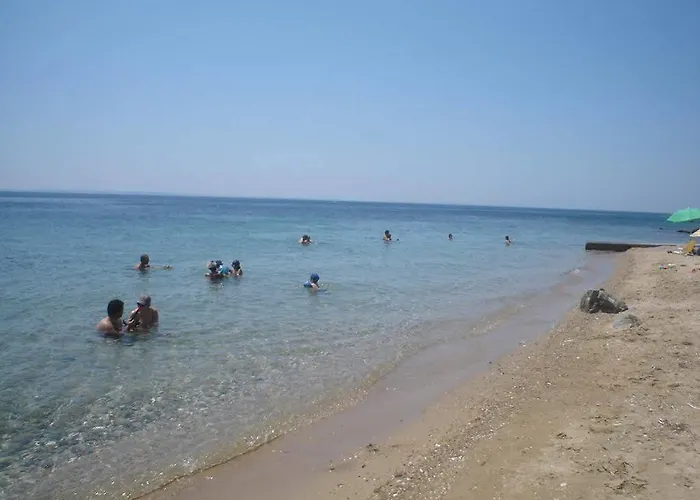 Red Coral * Βατοπέδι
