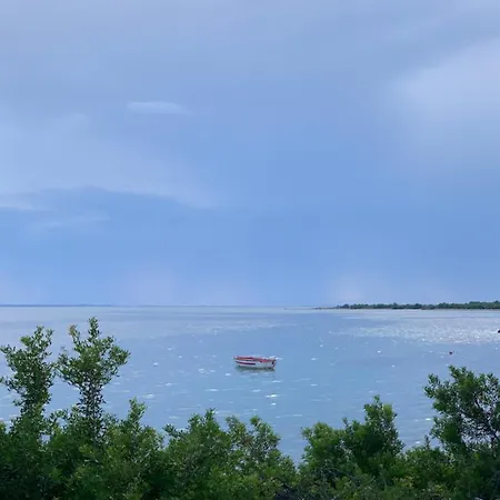 Red Coral * Vatopedi